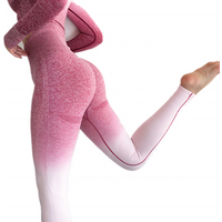 Seamless Ombre High Waist Yoga Leggings