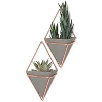 Brass Metal Wall Hanging Planter Succulent Plants