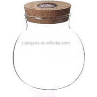 clear round glass globe jar terrarium with LED light in cork lid