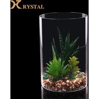 Glass Geometric Terrarium Indoor Plants