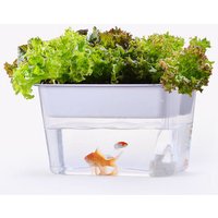 Desktop Ecological Self-circulation Aquaponics Fish Tank Indoor Aquarium Garden Raising Vegetables and Fish