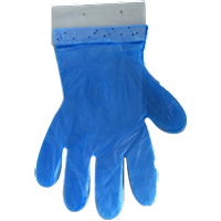Disposable PE Gloves Paper Card