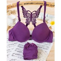 Butterfly Bra Front Closure Pasty Set