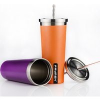 Reusable Stainless Steel Double Wall Mug Straw