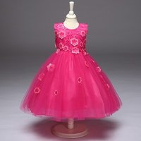 Hot Pink Floral Appliquéd Tulle Flower Dress