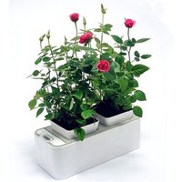 Creative mini smart garden for plants indoor Smart garden hydroponic flower planter