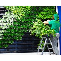 GreenSun 2019 Vertical Garden Wall System