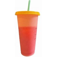 Summer 2019 Collection Pack Of 5 24 oz Plastic Tumbler Reusable COLOR CHANGE Cold Cups With Lids Straws