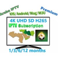 12 months iptv WORLD channel list USA European VOD tv cheap Arabic iptv account reseller Magnum iptv