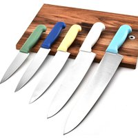 Wholesale high quality kitchen Chef vegetable Knives stainless steel fruit knife with plastic handle
