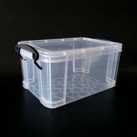 Mini Clear Plastic Storage Box