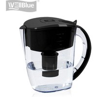 Wellblue Alkaline Water Filter Pitcher