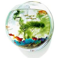 Wall Mounted Acrylic Fish Bowl Tank