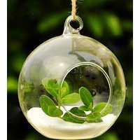 Clear Hanging Glass Vase Terrarium or Candle Holder