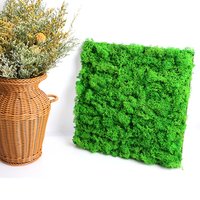 Natural Preserved Reindeer Moss Decorative Walls