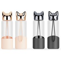 Fox Design Borosilicate Glass Drinking Bottle