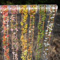 1Roll PET Tape Flower Ladder Series Vine Ladder Handbook Bottoming DIY Decorative Stickers