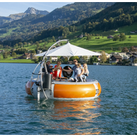 Electric Battery Charged Bbq Donut Boat Price Franchise Vancouver Canada Chill and Bbq Boating Marine Stainless Steel Bbq Boat