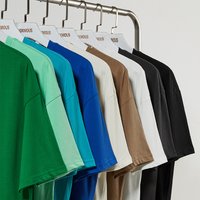 Custom Logo Summer Men's Oversized 100% Cotton T-shirts 220g Women Solid Color Blank T-shirts Adult Drop Shoulder Pullover