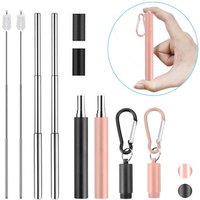 Stainless Steel Retractable Drinking Straw Kit Carrying Case