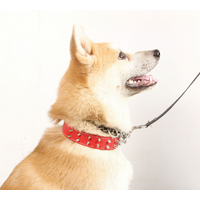 Personalized Leather Dog Collar with Wide Rivet Studded Spikes Elegant Classic Tactical Style Features for Cats