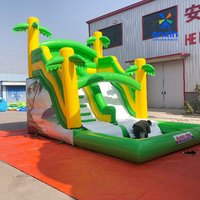 Factory PriceInflatable Water Parks Mini Backyard Cheap Inflatable Water Slide for Sale