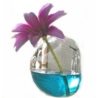 Wall Hanging Clear Glass Vase Home or Office Decor