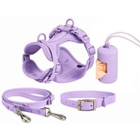 Ready to Shipping PVC Pet Collar Lead Waterproof Durable Luxury Neoprene 3 in 1 Pet Walk Kit Dog Harness Set