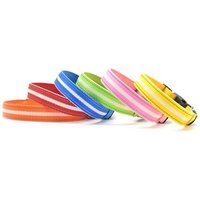 Pet Equipment Polyester webbing Dog Safety Belt Flashing Dog Collar Led Collar