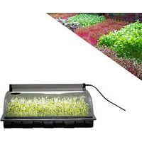 china 1020 pots led kits plastic greenhouses strawberry cultivation agriculture hydroponic black seed tray for nursery plants