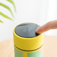 Smart Stainless Steel Vacuum Cup with Temperature Display, 480ml