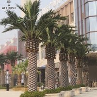Indoor and Outdoor Artificial Canary Date Palm Tree