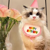 Shengchaoyi Luxury Cat and Dog Birthday Party Supplies Mini Doggy Bandana Scarf Teddy Saliva Towel Pet Dress up Accessories