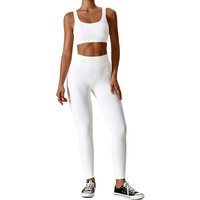 2025 New Arrival Spandex/Polyester Solid 2-Piece Seamless Ribbed Women Yoga High Waisted Quick Dry Padded Running Gym Fitness