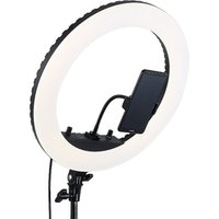 Tiktok Youtube selfie ring light for shooting video cyber live streaming with tripod Stand & Phone Holder&Mirror