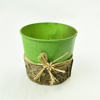 Handmade Decorative Iron Birch Indoor Garden Planter