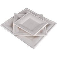 Eco Friendly Biodegradable Sugarcane Bagasse Disposables