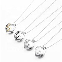 LIVE4U RS20JPN15 Pet Ash Memorial 316 Stainless Steel Dog Paw Silver Pet Cremation Jewelry