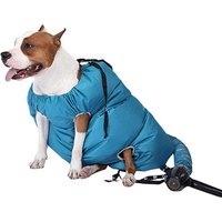 Dog Dryer Pet Grooming Hair Blower Cat Force Heater Quick Dry After Bath Puff Dog Dryer