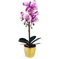 50cm Phalaenopsis Orchid Artificial - Purple / White - Gold Pot
