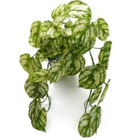 35cm Artificial Trailing Light Green Plant