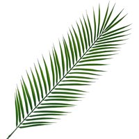 100cm Realistic Artificial Palm Leaf