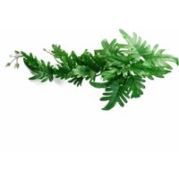 50cm Artificial Trailing Philodendron Large Leaf Plant Realistic