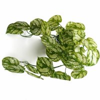35cm Artificial Trailing Light Natural Look Plant Realistic