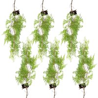 6 x 100cm Artificial Hanging Maidenhair Fern Plant Light Green