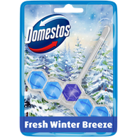 Domestos Power 5 Toalettblock Fresh Winter Breeze – 55 g