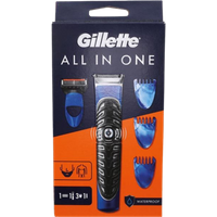 Gillette All-in-One ProGlide Styler