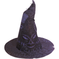 Rubies Harry Potter distributörshatt