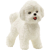 Schleich Bichon Frise Hundfigur