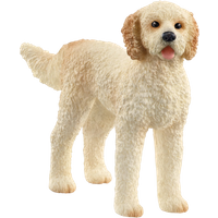 Schleich Goldendoodle Dog Figure
